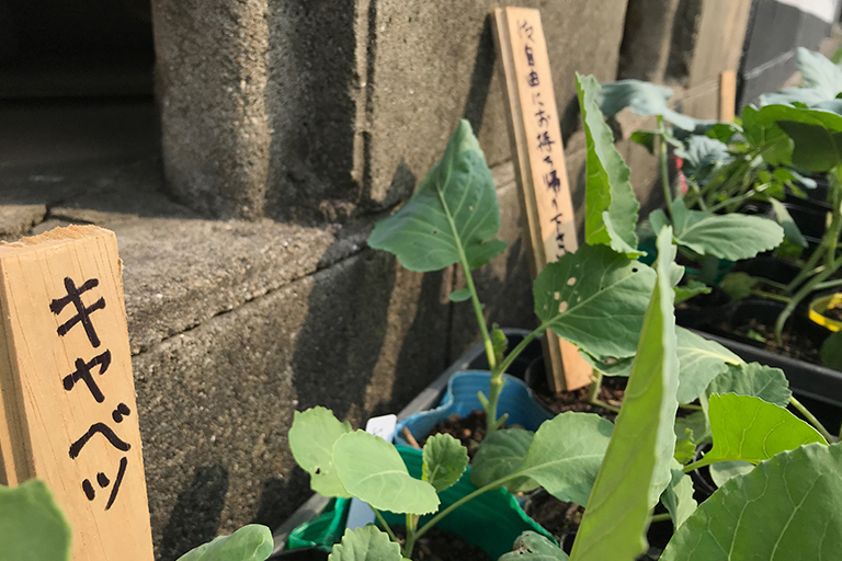 ご自由にお持ち帰りください!