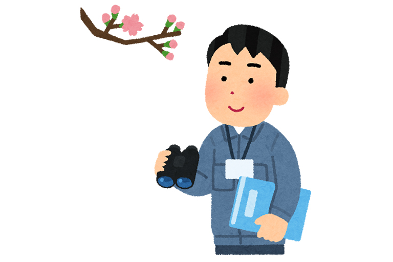 季節外れの桜