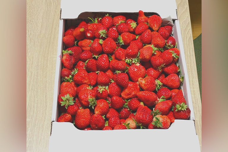 今週の出来事🍓