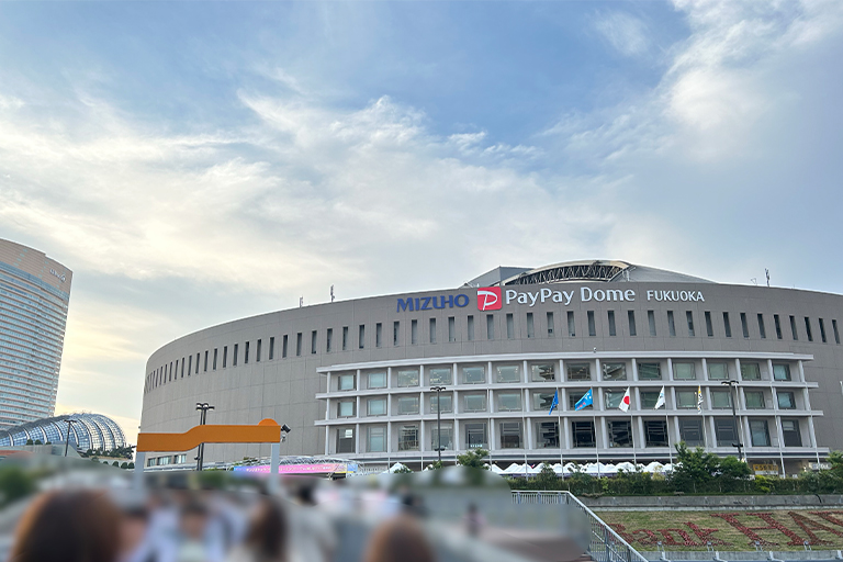 野球観戦！