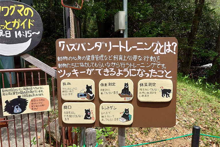 初上陸