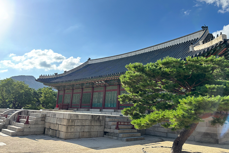 韓国爆食旅🐽