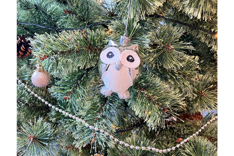 クリスマスのショールームより🎄冬のおすすめ商品と一年の振り返り