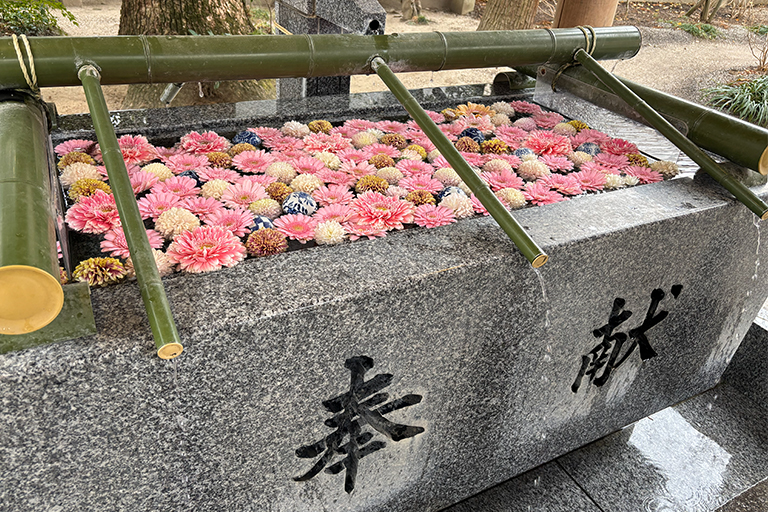 仕事運アップ♪⛩