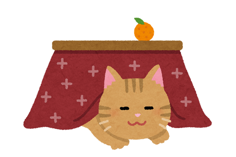 冬で気を付けたいこと⛄